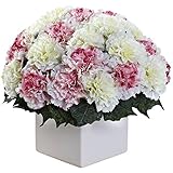 Nearly Natural 1372-MW Carnation Arrangement with Vase, Mauve/White [並行輸入品]