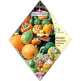 [春まき タネ][フランスの種]オーナメンタルカボチャミックス（大きめの観賞用かぼちゃ）* ノーブランド品