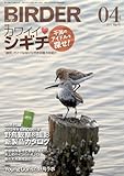 BIRDER (バーダー)2013年 04月号 [雑誌]