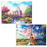 2枚セット 5Ｄダイヤモンドアート キット ダイアモンドビーズ絵画キット DIY・手作り絵画手芸キット 5D モザイクアート ハンドメイド かわいい 芸術品 装飾 ダイヤモンド塗装 全面貼り付けタイプ 30x40cm（城と塔）