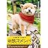 映画版 幼獣マメシバ(DVD)