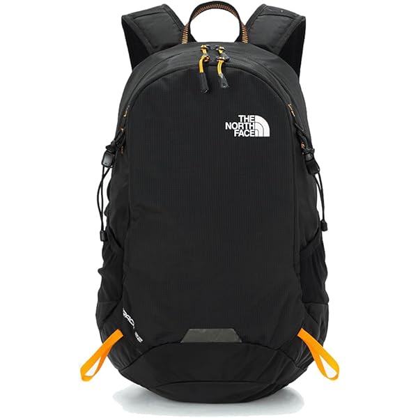 Amazon.co.jp: The North Face Martin Wing 10 Backpack