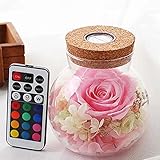 カラフルなLED不滅の花ウィッシングボトル、バレンタインデー、母の日、結婚記念日、集会最高の贈り物