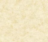 York Wallcoverings HP0319 Bright's Painterly Texture Wallpaper, White/Off Whites [並行輸入品]