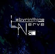 Labyrinthin Nerve