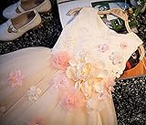 女の子 女児 キッズ 子供 ノースリーブ ドレス ワンピース 洋装 フォーマル 正装 おしゃれ着 舞台衣装 発表会 晴れ舞台 披露宴 結婚式 七五三 かわいい クリーム色 (120cm) [並行輸入品