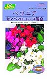 カネコ種苗 草花タネ239 ベコニア センパフローレンス ミックス 10袋セット