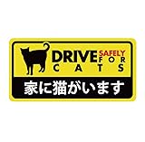 家に猫がいます ドライブレコーダー風 安全運転マグネットステッカー 耐候・耐水