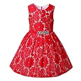 Pettigirl子供ドレス レッドパーティードレス レース ガールズワンピース 7才-8才 [並行輸入品]