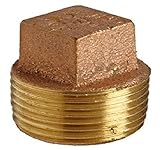 Everflow Supplies BRPL0100-NL 1-Inch Brass Square Head Cored Plug, Lead Free [並行輸入品]