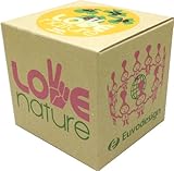 Euvo Design LOVE nature PlantS オキザリス(クローバー) LN90131