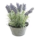 COVENT GARDEN ラベンダー ブリキポット L TG-26