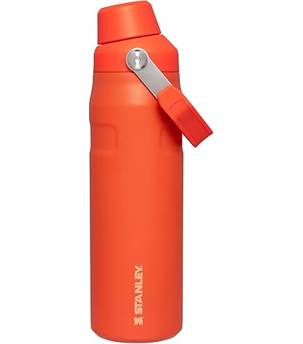 Amazon.co.jp: Stanley (スタンレー) IceFlow ファストフロー