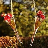 コーンの形状をかけガラスの花瓶を養液栽培する植物園花鍋