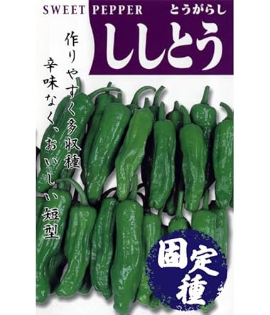 B0CCMCKNRG