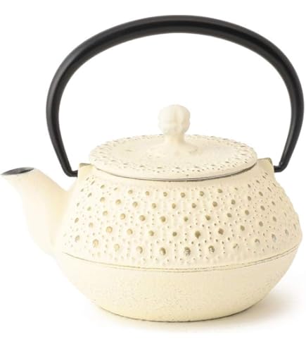 Amazon | 本場 南部盛岡 岩鋳 南部鉄器 急須 刻印入り | ノー