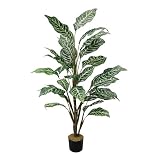 光触媒・人工観葉植物 ゼブラ 黒(鉢の色)