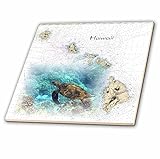 フローレン – 航海マップ飾り – 印刷のハワイアン諸島チャートwith Sea Turtle – タイル 12-Inch-Ceramic ct_204889_4