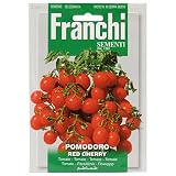 野菜の種 イタリアントマト RED CHERRY 106/111