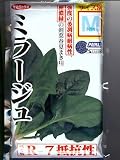 ミラージュ　サカタのほうれん草種です