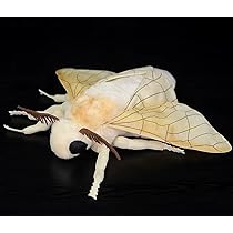 昆虫 MANIAC 限定 かいこ ぬいぐるみ 昆虫展 カイコ モス 蚕 むし 蛾 Amazon.co.jp: 特別展 昆虫 MANIAC 限定 オリジナル 蚕蛾 カイコ