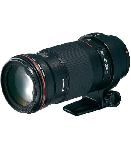 Amazon.co.jp: Canon EF レンズ 100mm F2.8 マクロ : 家電＆カメラ