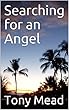 Searching for an Angel (Ben Burrows Book 2) (English Edition)