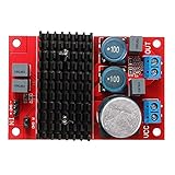 Lovoski DC 12V-24V　アンプボード　オーディオ　デジタル　パワー　BTL Out　TPA3116　Mono チャンネル　