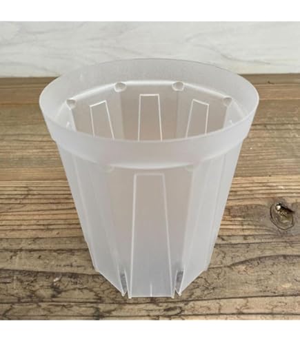 Amazon.co.jp: スリット鉢（透明）：ネガミエル2.5号スクエア