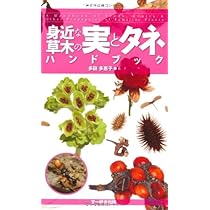 身近な草木の実とタネハンドブック | 多田 多恵子 |本 | 通販