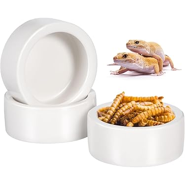 Amazon.co.jp 売れ筋ランキング: 爬虫類・両生類用餌入れ・ボウル の中
