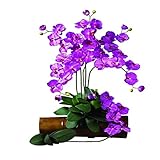 Nearly Natural 2044-OR Phalaenopsis Stem (Set of 6) Orchid [並行輸入品]