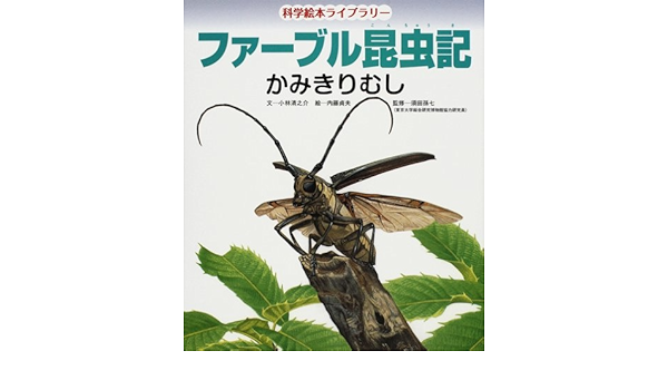 ファーブル昆虫記 かみきりむし 科学絵本ライブラリー 小林 清之介 孫七 須田 貞夫 内藤 本 通販 Amazon