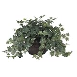 Nearly Natural 6635 Puff Ivy with Vase Decorative Silk Plant, Green by Nearly Natural