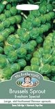 【輸入種子】 Mr.Fothergill's Seeds Brussels Sprout Evesham Special ブリュッセルズ・スプラウト（芽キャベツ）・イブシャム・スペシャル