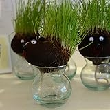 hair LABO（ヘアーラボ）アニマル・ヘッジホッグ（ハリネズミ） ノーブランド品