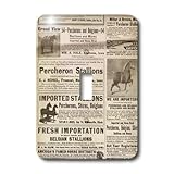 3dRose Lsp_12368_1 1913 Vintage Horse Ads Single Toggle Switch