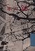 一本の鉛 (1959年)