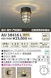 コイズミ照明 ポーチ灯(白熱球60W相当)電球色(茶色塗装) AU38416L