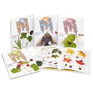 せんせい!これなあに?(全4巻セット)