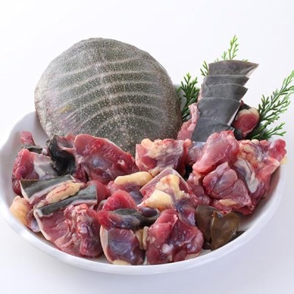 Amazon.co.jp: 耶馬溪 すっぽん鍋セット すっぽん切身 300g