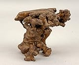 いよじ園 【盆栽卓】 天然根卓 [みずき]［高：8cm］【盆栽道具】【飾卓】【花台】【smtb-KD】