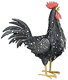 Regal Art & Gift REGAL10321 Black Rooster Medium