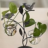 Liebeye 花瓶 植木鉢 水耕栽培　小鳥が止まっている クリア ガラスボール マイクロ風景 ヴィンテージ アイアン フレームバード 栽培 植物 容器 ホーム デコレーション