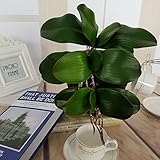 卓仕朗　コチョウラン　 造花　人造植物 観葉植物 インテリア　本物ソックリ　飾り　花
