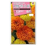[タキイ 花タネ][タネ]アフリカンマリーゴールド　レディミックスの種　3袋セット ノーブランド品