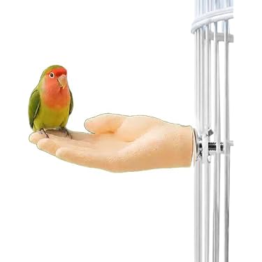 Amazon.co.jp 最新リリース: 鳥用品 の新着ランキングです。
