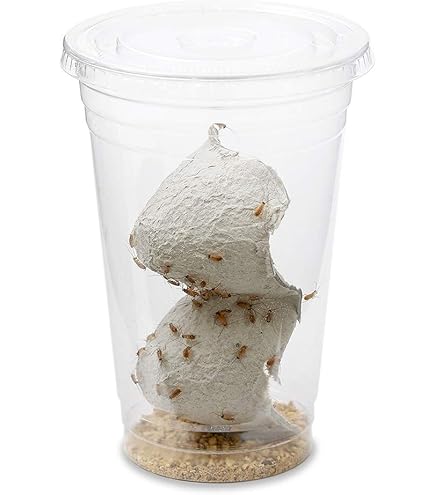 爬虫類・両生類のエサ RJ トカゲブレンドフード GEX 爬虫類・両生類餌 200g