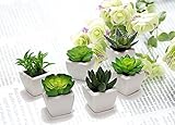 (i-loop) 小さな 人工観葉植物 フェイク グリーン ミニ ポット (白 6個セット)