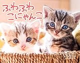 【Amazon.co.jp限定】ふわふわこにゃんこ(特典:PC・スマホ用壁紙画像-にゃんこ データ配信) (インプレスカレンダー2020)